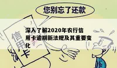 深入了解2020年农行信用卡逾期新法规及其重要变化