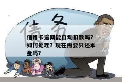 信用卡逾期能自动扣款吗？如何处理？现在需要只还本金吗？