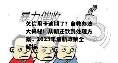 欠信用卡逾期了？自救办法大揭秘！从期还款到处理方案，2023年最新政策全解析