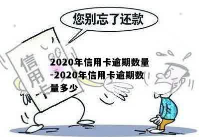 2020年信用卡逾期数量-2020年信用卡逾期数量多少