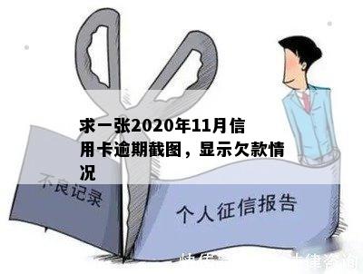 求一张2020年11月信用卡逾期截图，显示欠款情况