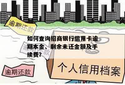 如何查询招商银行信用卡逾期本金、剩余未还金额及手续费？