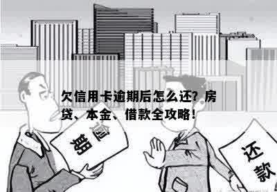 欠信用卡逾期后怎么还？房贷、本金、借款全攻略！