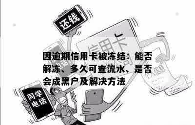 因逾期信用卡被冻结：能否解冻、多久可查流水、是否会成黑户及解决方法