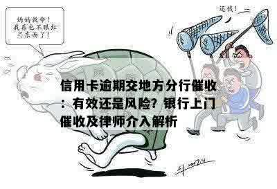 信用卡逾期交地方分行催收：有效还是风险？银行上门催收及律师介入解析