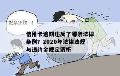 信用卡逾期违反了哪条法律条例？2020年法律法规与违约金规定解析