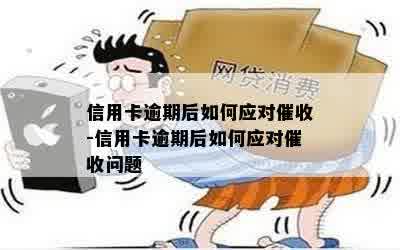 信用卡逾期后如何应对催收-信用卡逾期后如何应对催收问题