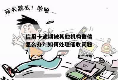 信用卡逾期被其他机构催债怎么办？如何处理催收问题？