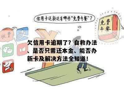 欠信用卡逾期了？自救办法、是否只需还本金、能否办新卡及解决方法全知道！