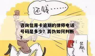 咨询信用卡逾期的律师电话号码是多少？真伪如何判断？