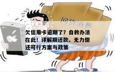 欠信用卡逾期了？自救办法在此！详解期还款、无力偿还可行方案与政策