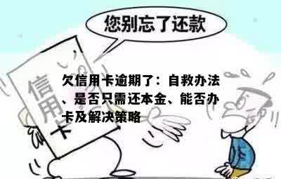 欠信用卡逾期了：自救办法、是否只需还本金、能否办卡及解决策略