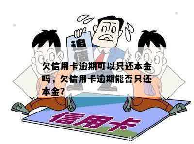 欠信用卡逾期可以只还本金吗，欠信用卡逾期能否只还本金？