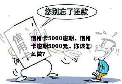 信用卡5000逾期，信用卡逾期5000元，你该怎么做？