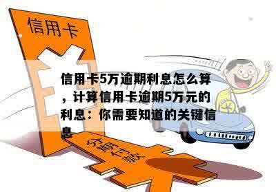 信用卡5万逾期利息怎么算，计算信用卡逾期5万元的利息：你需要知道的关键信息