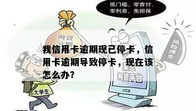 我信用卡逾期现已停卡，信用卡逾期导致停卡，现在该怎么办？