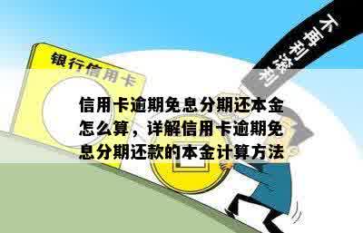 信用卡逾期免息分期还本金怎么算，详解信用卡逾期免息分期还款的本金计算方法