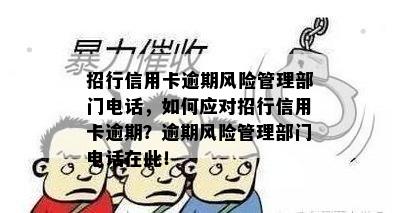 招行信用卡逾期风险管理部门电话，如何应对招行信用卡逾期？逾期风险管理部门电话在此！