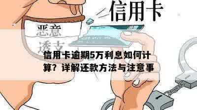 信用卡逾期5万利息如何计算？详解还款方法与注意事