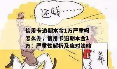 信用卡逾期本金1万严重吗怎么办，信用卡逾期本金1万：严重性解析及应对策略