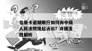 信用卡逾期银行如何向中级人民法院提起诉讼？详细流程解析