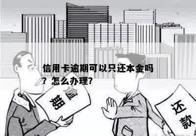 信用卡逾期可以只还本金吗？怎么办理？