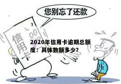 2020年信用卡逾期总额度：具体数额多少？