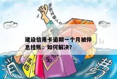 建设信用卡逾期一个月被停息挂账：如何解决？