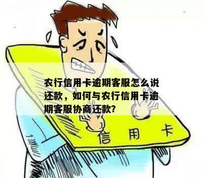 农行信用卡逾期客服怎么说还款，如何与农行信用卡逾期客服协商还款？