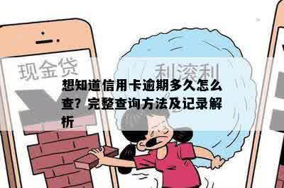 想知道信用卡逾期多久怎么查？完整查询方法及记录解析