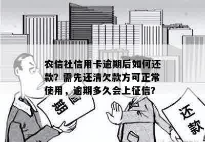 农信社信用卡逾期后如何还款？需先还清欠款方可正常使用，逾期多久会上征信？