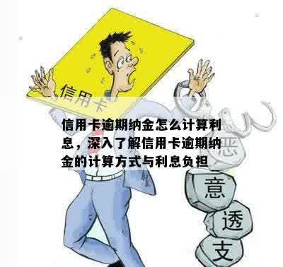 信用卡逾期纳金怎么计算利息，深入了解信用卡逾期纳金的计算方式与利息负担