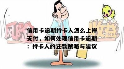 信用卡逾期持卡人怎么上岸支付，如何处理信用卡逾期：持卡人的还款策略与建议