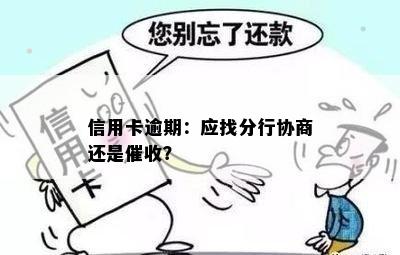 信用卡逾期：应找分行协商还是催收？