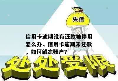 信用卡逾期没有还款被停用怎么办，信用卡逾期未还款，如何解冻账户？