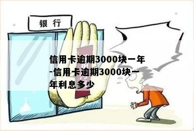 信用卡逾期3000块一年-信用卡逾期3000块一年利息多少