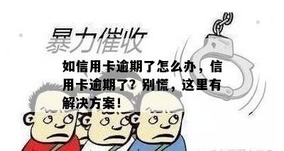 如信用卡逾期了怎么办，信用卡逾期了？别慌，这里有解决方案！