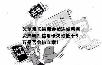 欠信用卡逾期会被冻结所有资产吗？信用卡欠款低于5万是否会被立案？