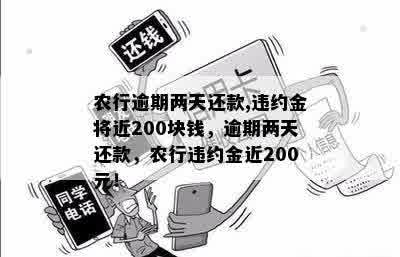 农行逾期两天还款,违约金将近200块钱，逾期两天还款，农行违约金近200元！