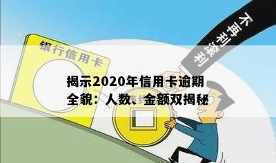 揭示2020年信用卡逾期全貌：人数、金额双揭秘