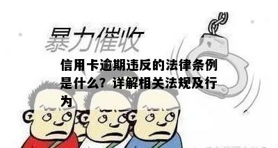 信用卡逾期违反的法律条例是什么？详解相关法规及行为