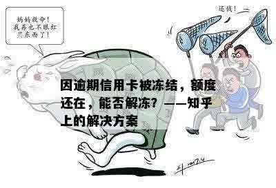 因逾期信用卡被冻结，额度还在，能否解冻？——知乎上的解决方案