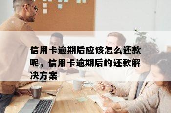 信用卡逾期后应该怎么还款呢，信用卡逾期后的还款解决方案