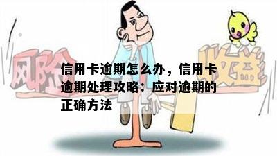 信用卡逾期怎么办，信用卡逾期处理攻略：应对逾期的正确方法