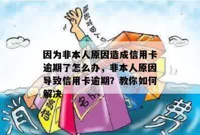 因为非本人原因造成信用卡逾期了怎么办，非本人原因导致信用卡逾期？教你如何解决