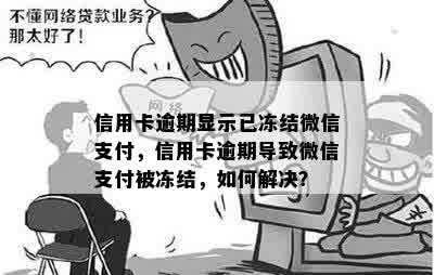 信用卡逾期显示已冻结微信支付，信用卡逾期导致微信支付被冻结，如何解决？