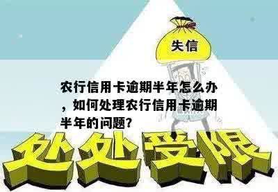 农行信用卡逾期半年怎么办，如何处理农行信用卡逾期半年的问题？