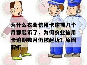 为什么农业信用卡逾期几个月都起诉了，为何农业信用卡逾期数月仍被起诉？原因解析