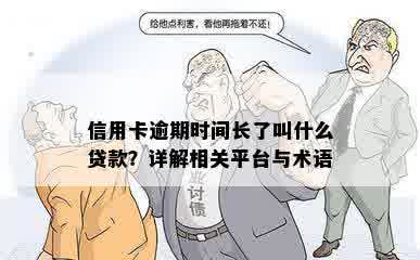 信用卡逾期时间长了叫什么贷款？详解相关平台与术语