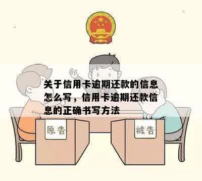 关于信用卡逾期还款的信息怎么写，信用卡逾期还款信息的正确书写方法